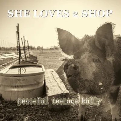 peaceful teenage bully album cover
