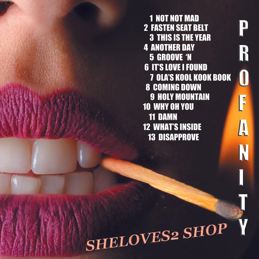 PROFANITY album cover