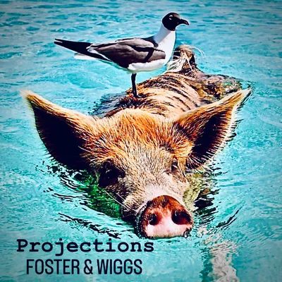 PROJECTIONS album cover — Foster & Wiggs